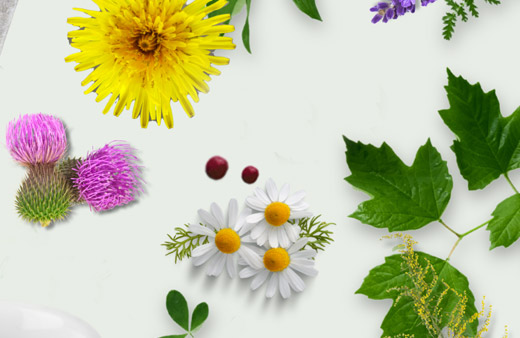 Natel's Health Check Home Test Kit UK Natel's Health Check Home Test Kit UK