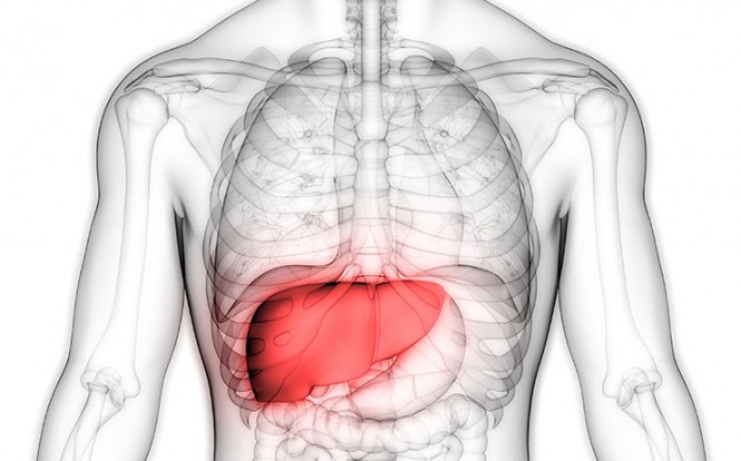 Private Online Testing - All About Your Liver Function